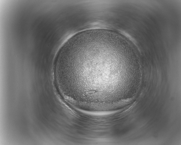 X0000067001415200603271328