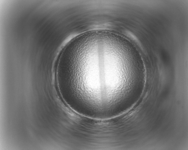 X0000067001419200603271328