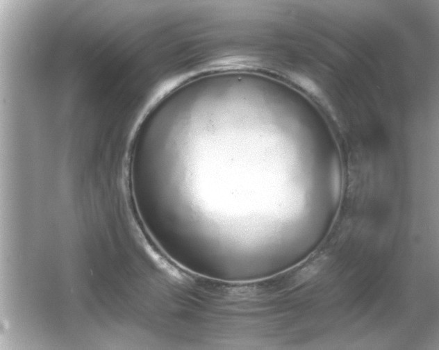 X0000067001421200603271328