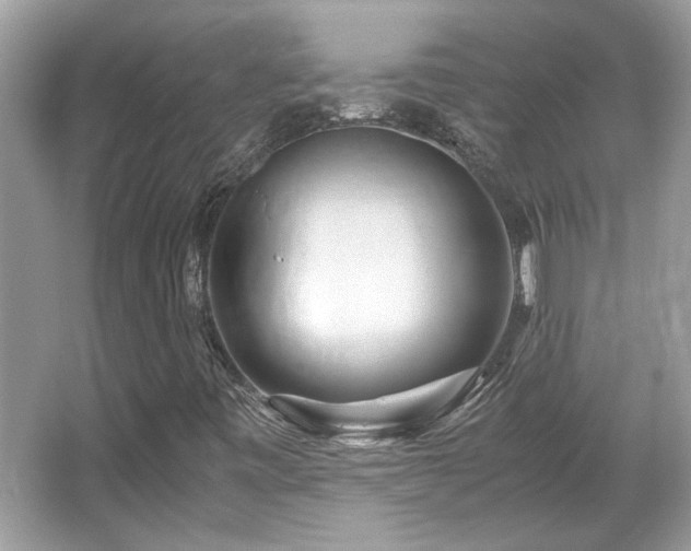 X0000067001443200603271328