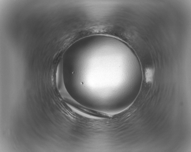X0000067001444200603271328