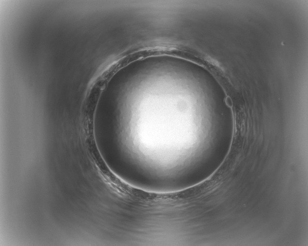 X0000067001448200603271328