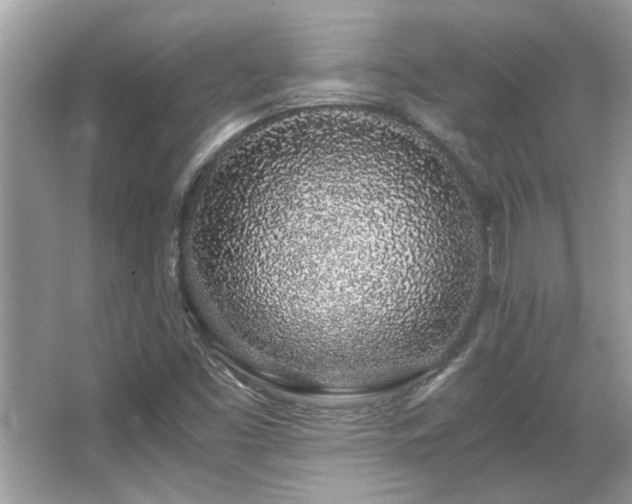 X0000067001453200603271328