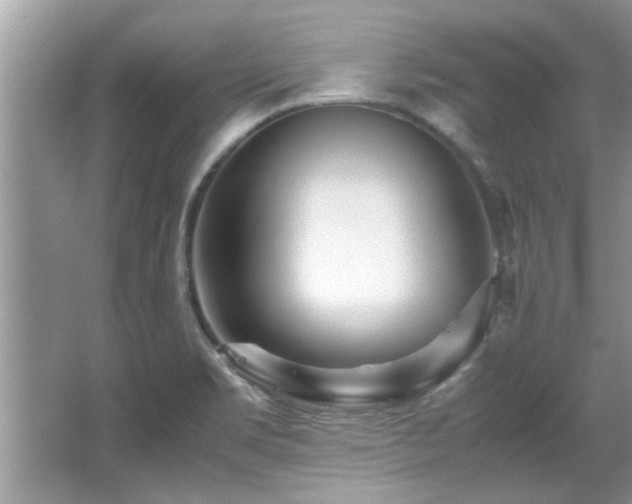 X0000067001469200603271327