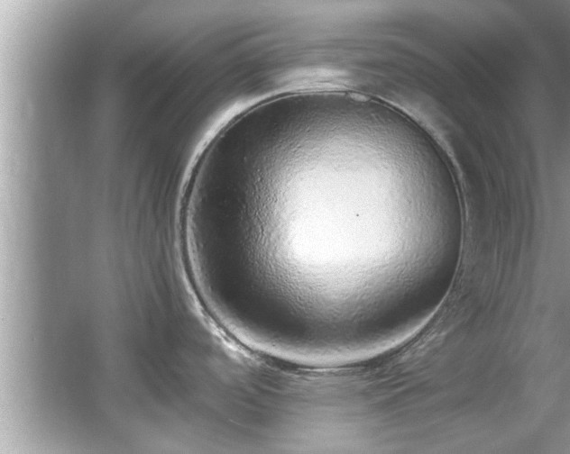X0000067001488200603271327
