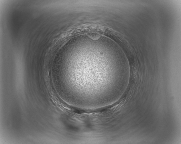X0000067001489200603271326