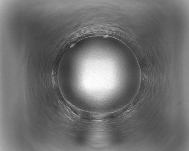 X0000067001490200603271326
