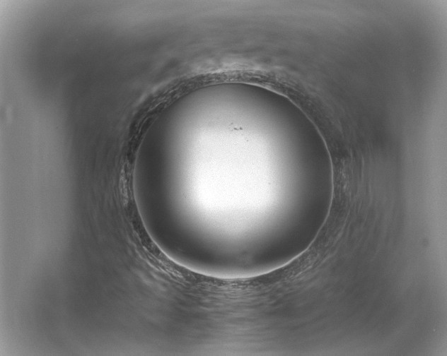 X0000067001493200603271326