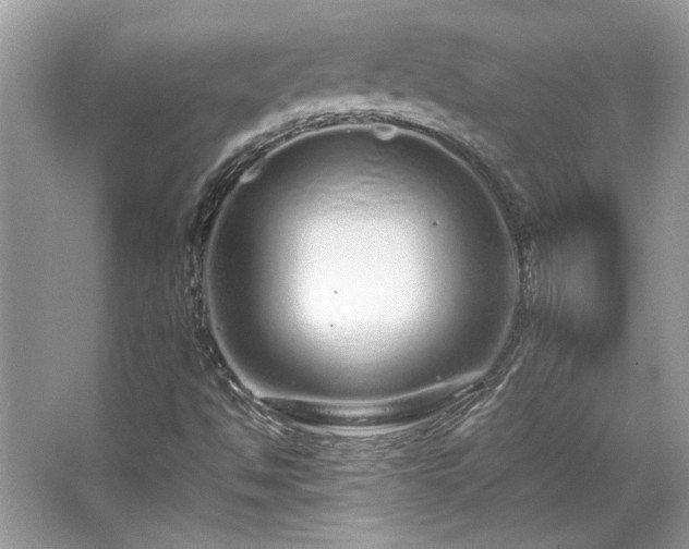 X0000067001494200603271326
