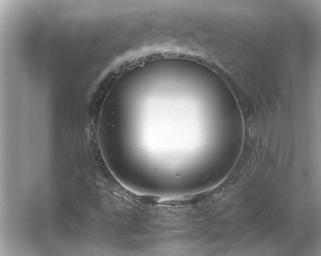 X0000067001495200603271326