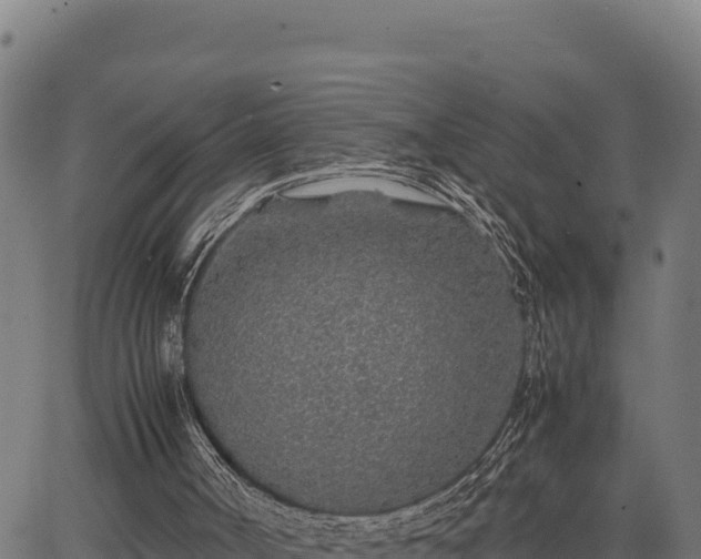 X0000067000002200603311626