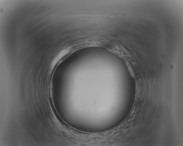 X0000067000003200603311626