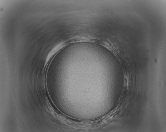 X0000067000004200603311626