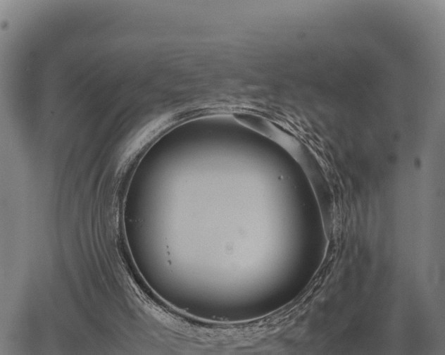 X0000067000005200603311626