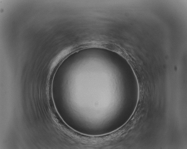 X0000067000006200603311626