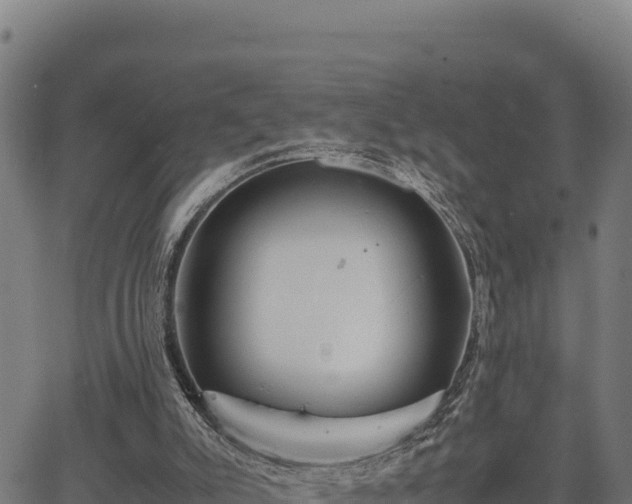 X0000067000007200603311626