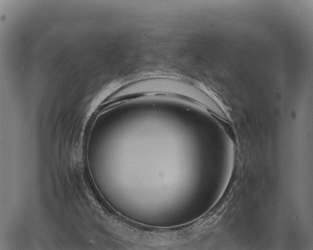 X0000067000008200603311626