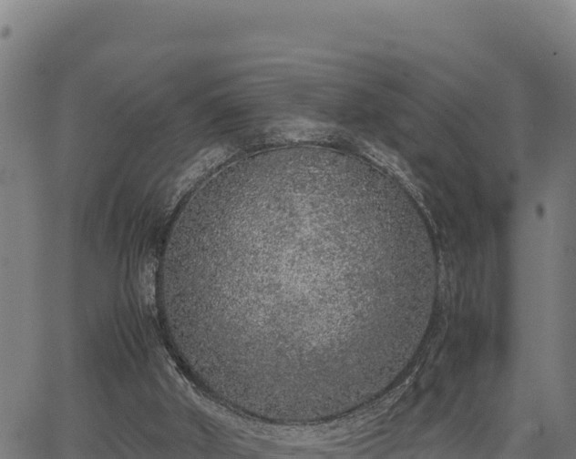 X0000067000010200603311626