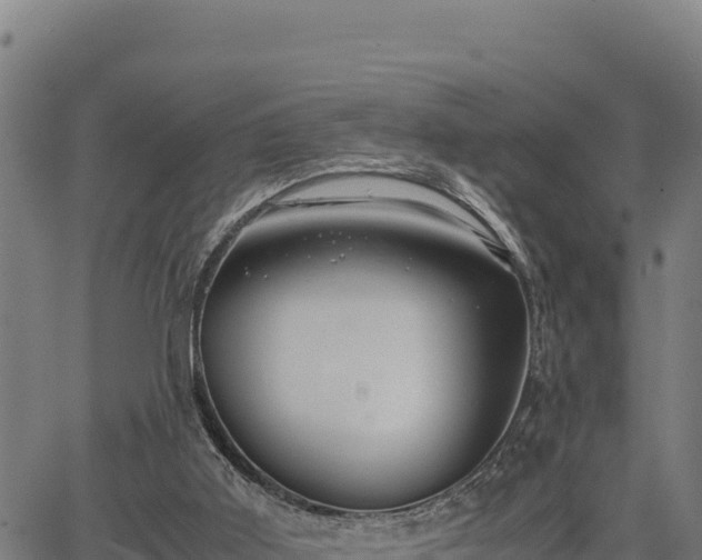 X0000067000011200603311626