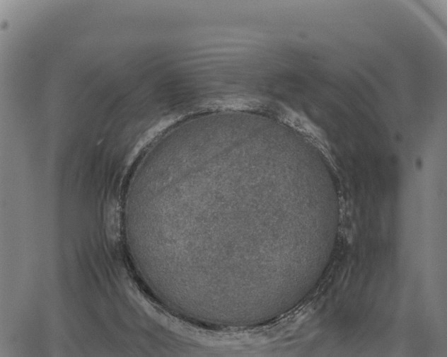 X0000067000012200603311626