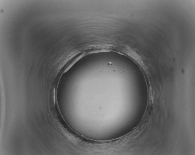 X0000067000013200603311626