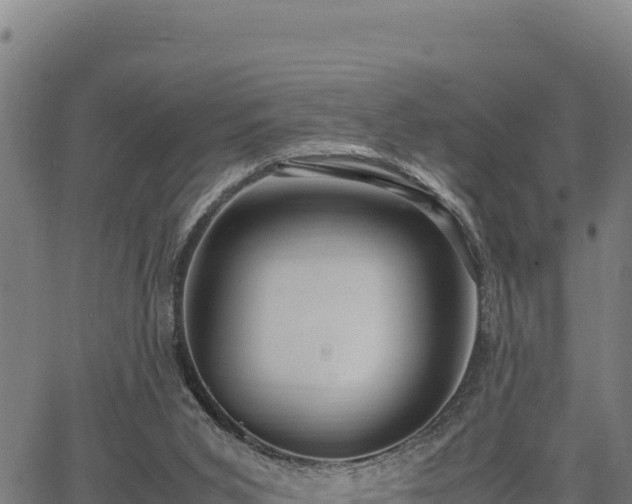 X0000067000015200603311626