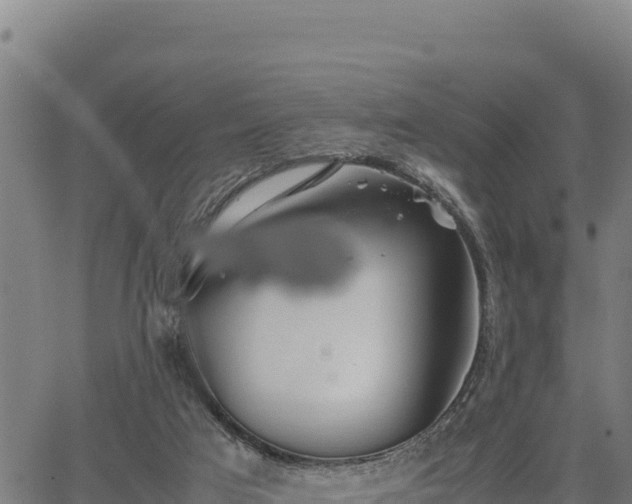 X0000067000017200603311626