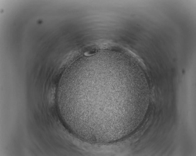 X0000067000018200603311626