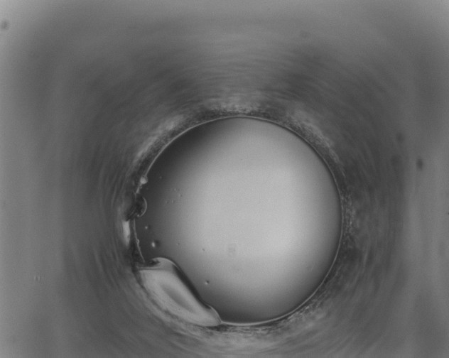 X0000067000020200603311626