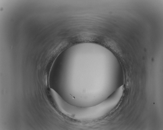 X0000067000021200603311626