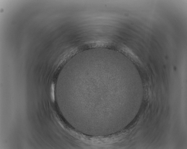 X0000067000022200603311626