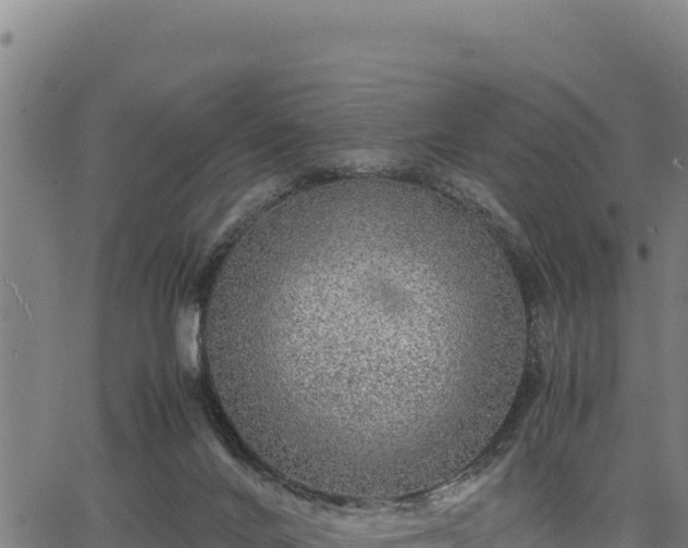 X0000067000024200603311626