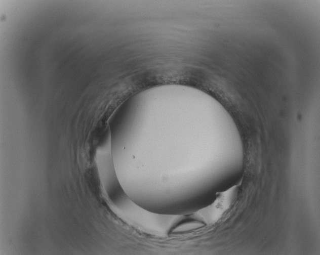 X0000067000025200603311626