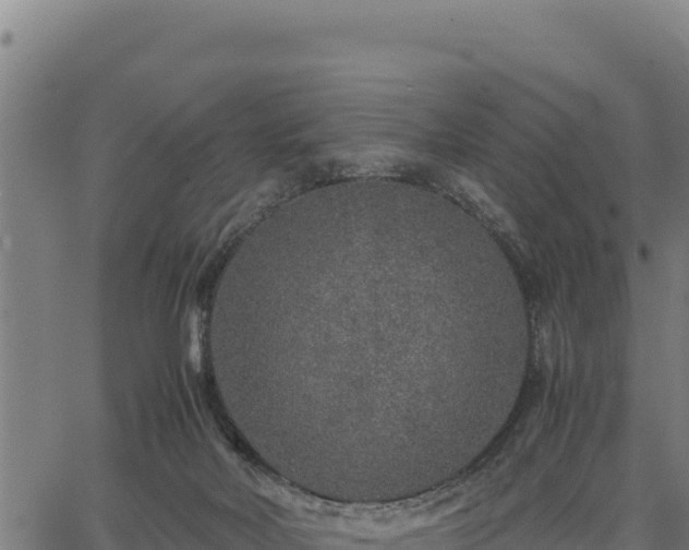 X0000067000026200603311626