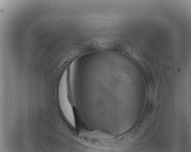 X0000067000027200603311626