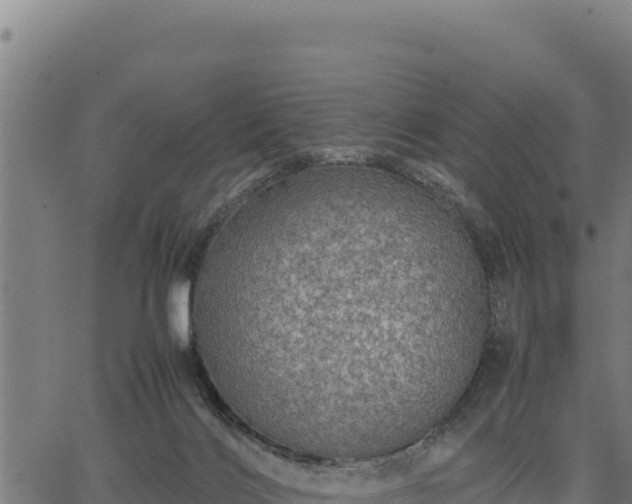 X0000067000028200603311626