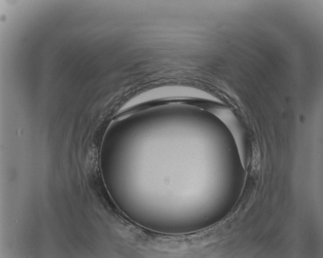 X0000067000029200603311626