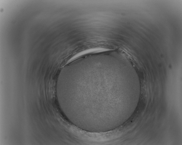 X0000067000030200603311626