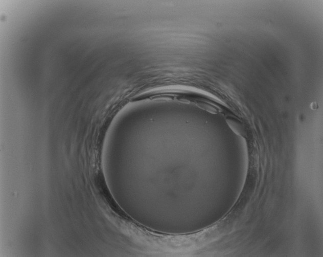 X0000067000031200603311626