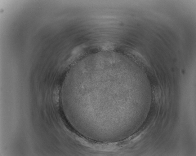 X0000067000032200603311625