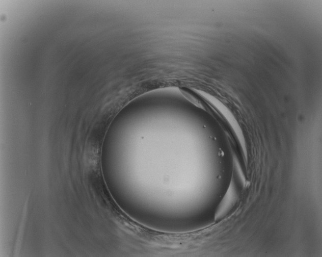 X0000067000033200603311625