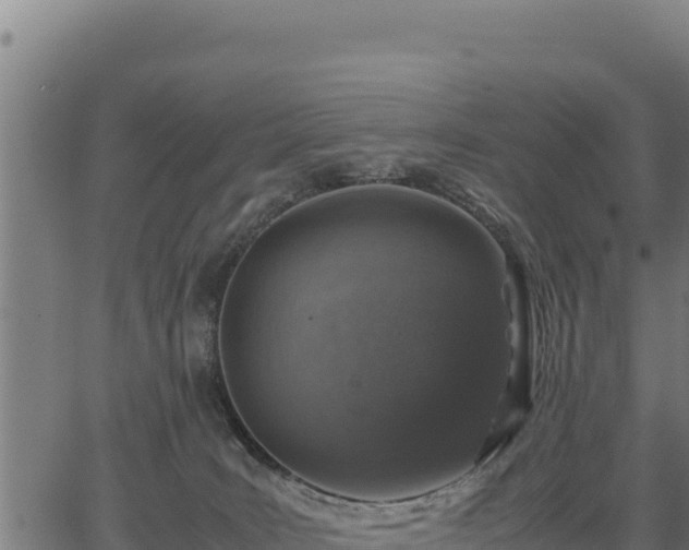 X0000067000035200603311625