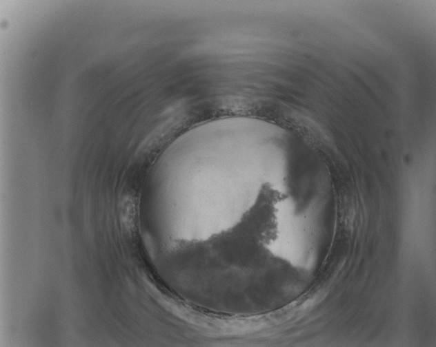 X0000067000036200603311625