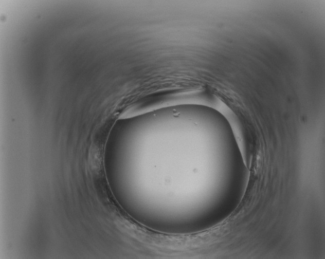 X0000067000037200603311625