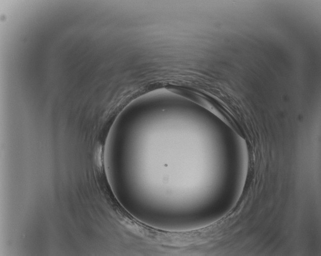 X0000067000041200603311625