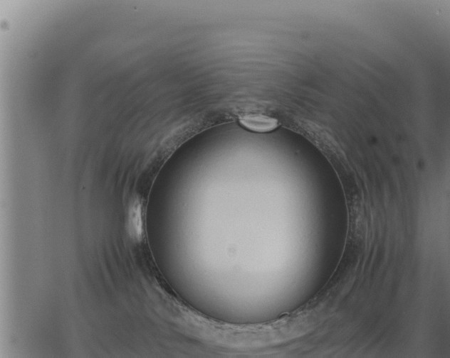 X0000067000042200603311625