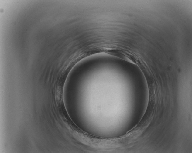 X0000067000044200603311625