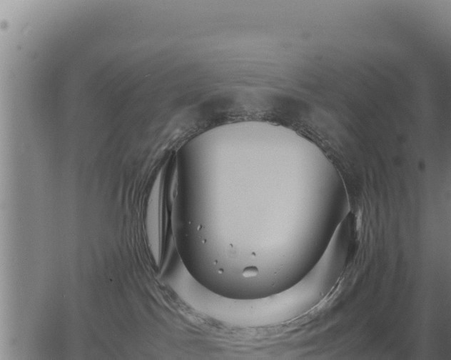 X0000067000045200603311625