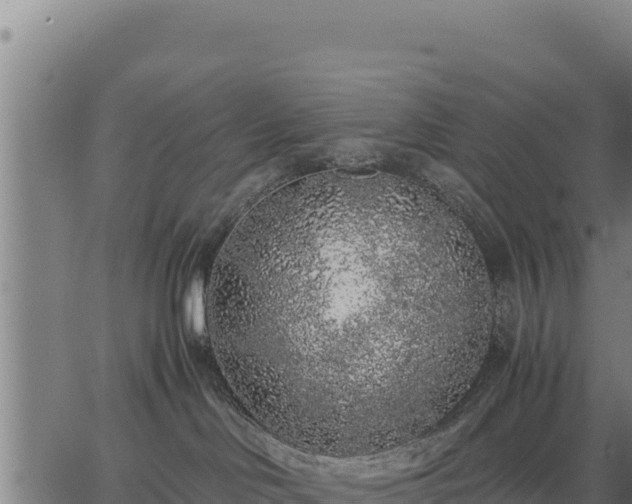 X0000067000046200603311625