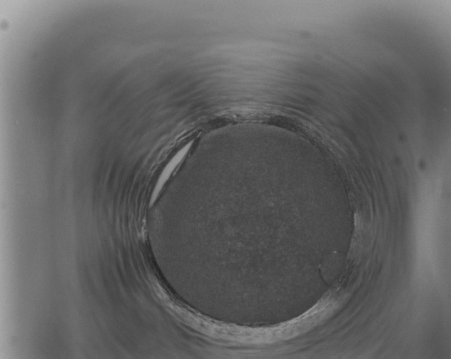 X0000067000048200603311625